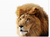 107icon