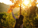 B68839934592cb8875eb0bb51b1e1199