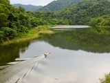 苗栗旅遊景點：明德水庫、日新島、魯冰花農莊介紹