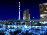 2012 東京螢火蟲嘉年華，10萬顆 LED 打造川與光的感動！