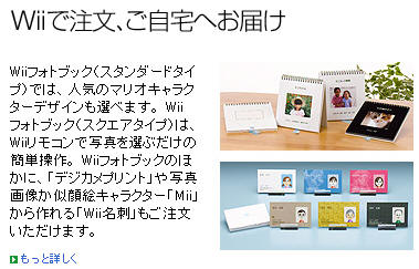 wiifuji01