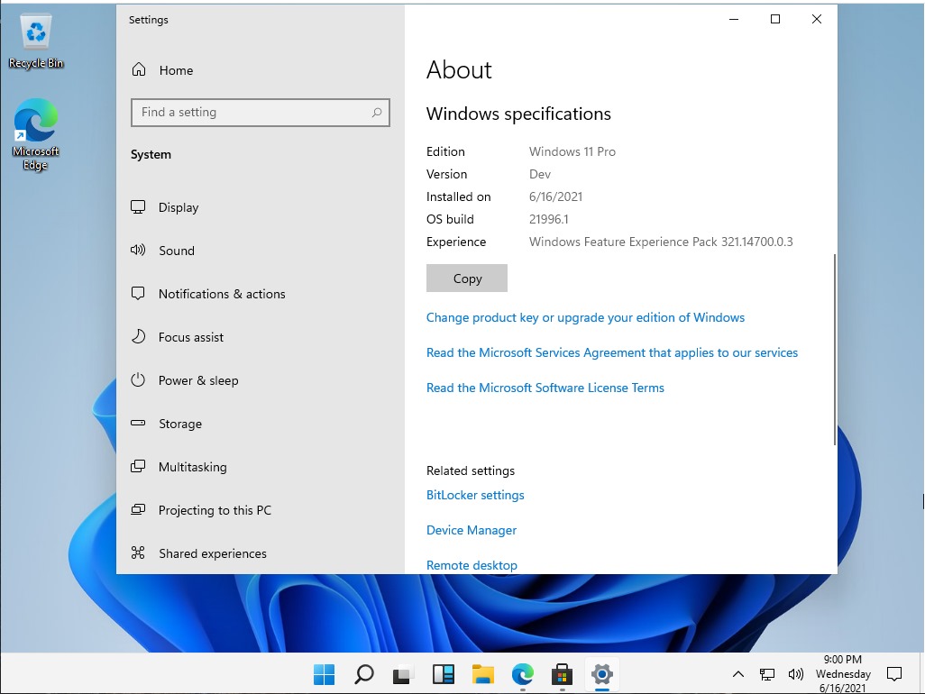 系統資訊中顯示為Dev(開發)版本的Windows 11 Pro,體驗版本為Windows Feature Experience Pack 321.14700.0.3。