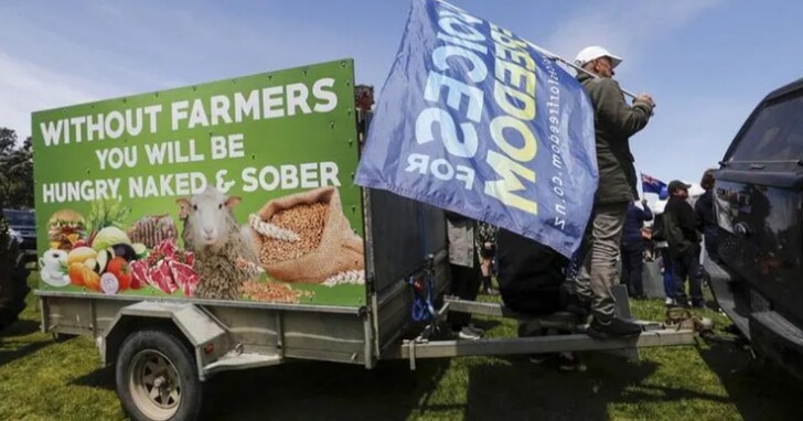 紐西蘭打算徵收牛羊「打嗝費」以及「排尿費」，農民開曳引機上街頭抗議