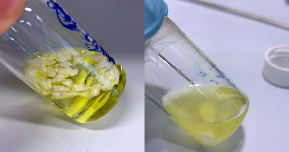 科學家突破性發現!三氯化鐵加陽光,30 分鐘內分解 90% 塑膠污染