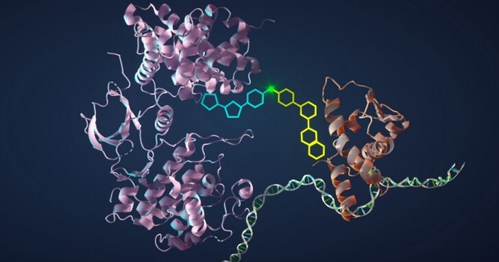 生物工程新突破：神奇分子讓癌細胞自毀，治癒癌症有望！