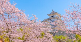 日韓賞櫻去！遠傳漫遊 1GB 83 元起，再抽日本遊輪雙人行