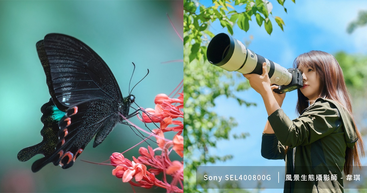 一鏡多用的遠距拍攝利器!帶著 Sony SEL400800G 踏上風景與生態攝影之旅