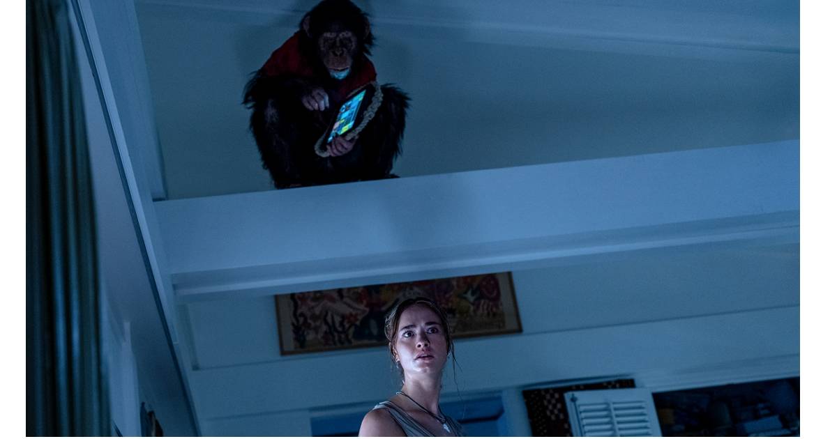 《猩瘋血雨》揭露「零CGI」黑猩猩特技的極限挑戰，派拉蒙如何打造恐怖新典範？