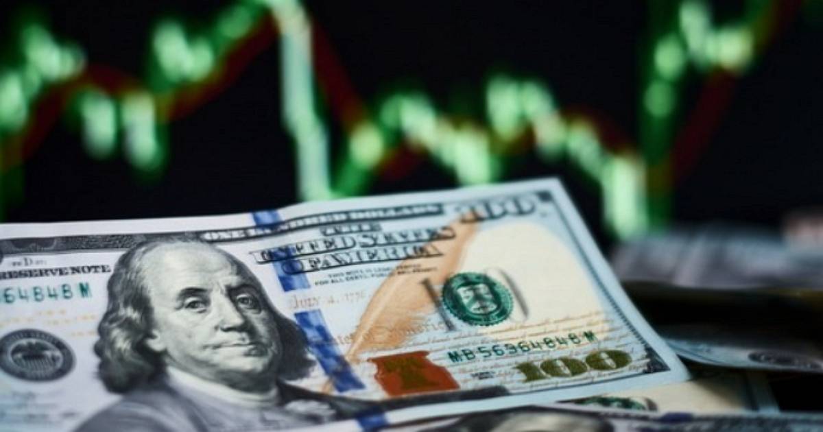 少看一眼賠掉300億！輝達技術顧問錯失9千股選擇權 如今價值翻漲變天價