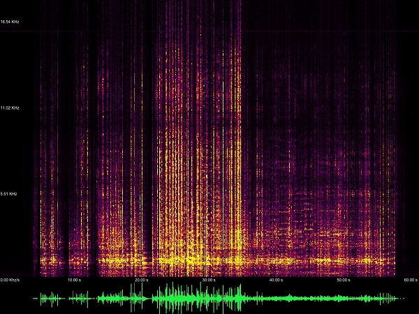科學角度看音響2 ：頻譜到傅立葉轉換，再看失真4大主因