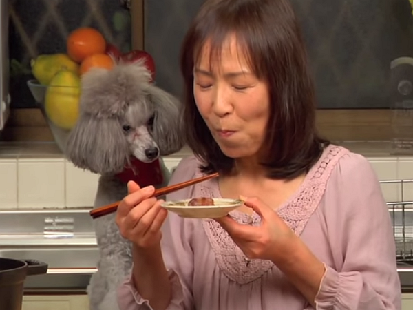 與狗狗一起下廚！日本 YouTube 廚藝節目 Cooking With Dog