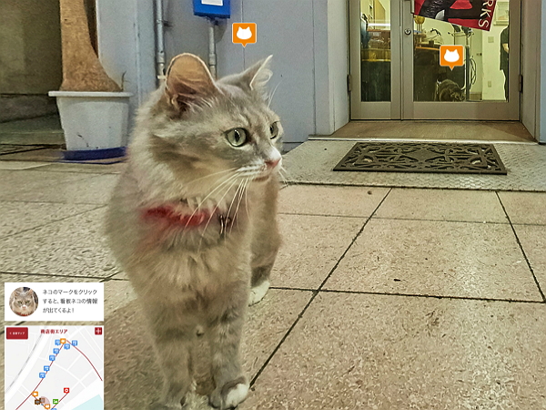 日本尾道市推出貓眼街景地圖，可愛到要被融化！