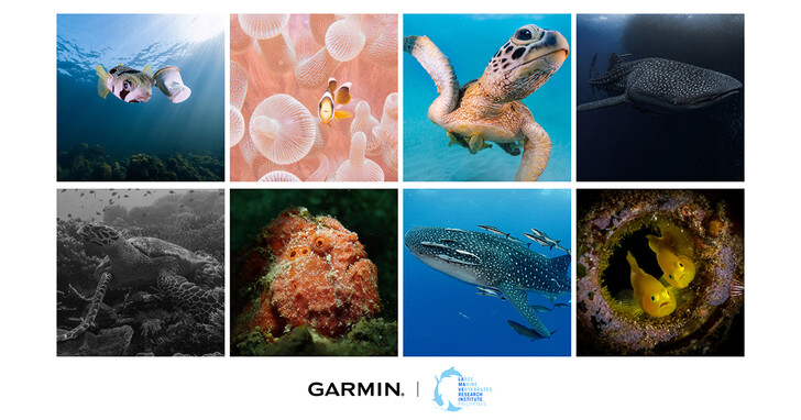 Garmin攜手動保組織發起「The Descent Mission」海洋公益活動