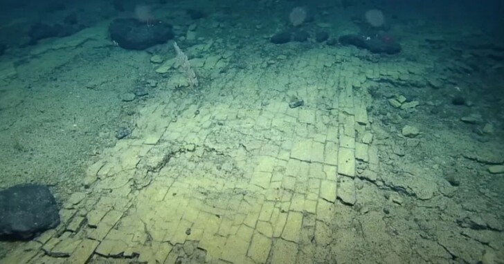 科學家發佈影片，展示一條在太平洋海底所發現奇異的「黃磚路」：通往亞特蘭蒂斯之路