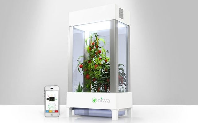 用手機也能種好植物 迷你溫室niwa 幫你接管所有的盆裁作物 T客邦