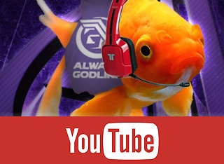 金魚繼續打電動 這次挑戰快打旋風ii T客邦