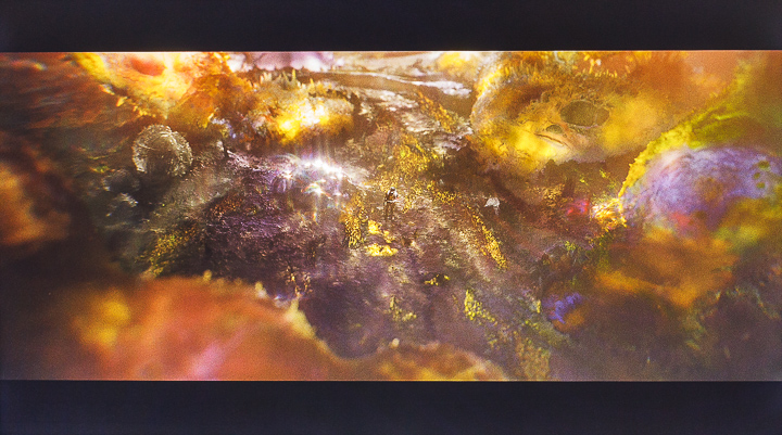 從這張翻攝自電影的畫面就可以看出，TH-55GX750W的豐富色彩表現，特別是金黃色以及紫色調的細節階調，其深淺轉折的變化，以及色彩還原度，都具備極高的水準，這也正是六原色顯像技術的特性。