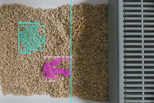 貓奴商機正夯！LuluPet 全球首創AI 智慧貓砂盆