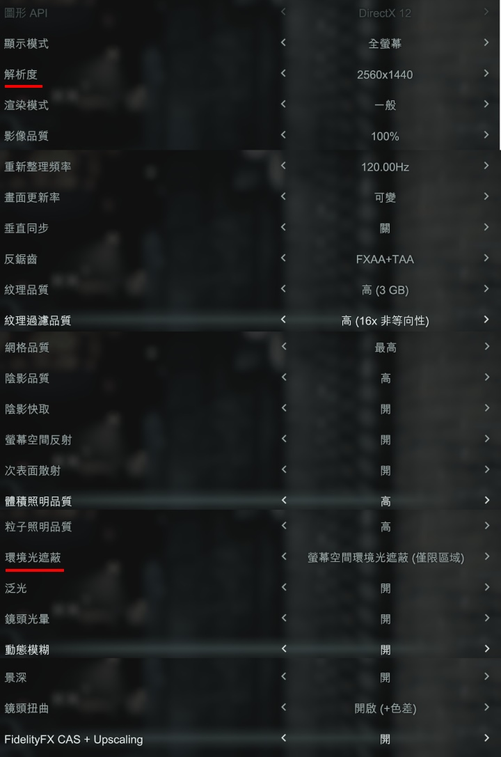 畫質設定如圖所示，僅有調整解析度與環境光遮蔽等2個設定值。