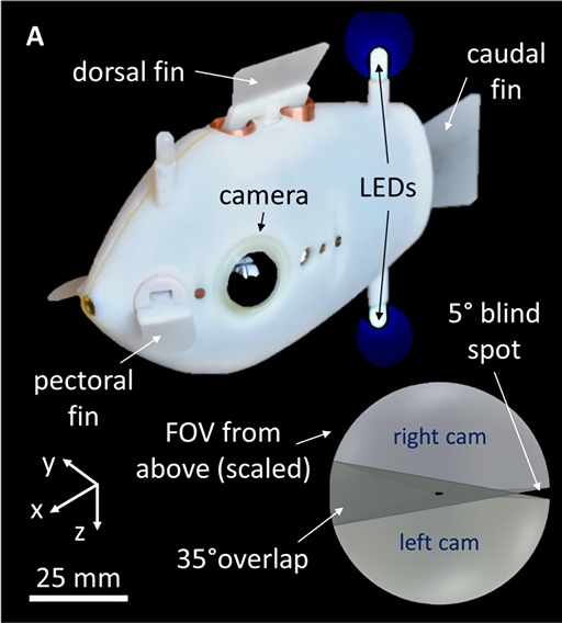 Bluebots Fish 哈佛大學開發機器魚可以混入魚群不被發現,還能成群結隊的活動 | T客邦