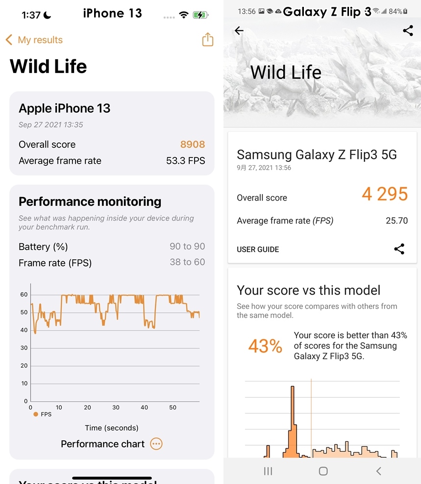 3DMark Wild Life 測試結果。