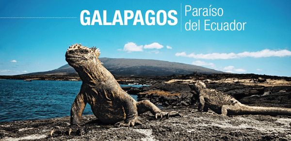 達爾文於1835年來到加拉帕戈斯群島，觀察當地野生動物，為後來提出進化論奠定基礎｜natuaventura.com.ec
