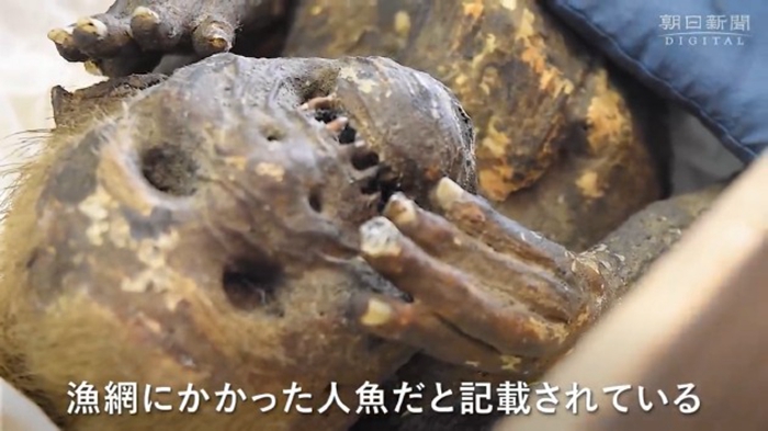 日本著名「円珠院人」報告出爐，三百年前木乃伊毛髮都驗出類人體組織了、DNA分析卻穿騙局