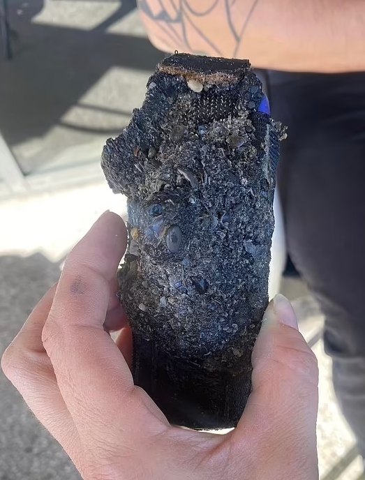 A passer-by picked up a Nokia 3210 that was soaked in barnacles in the sea, a magic phone from the 1990s