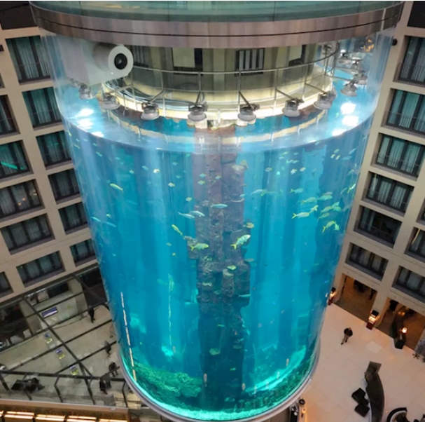 柏林全球最大圓柱水族箱AquaDom突然爆裂，1500條魚死亡百萬公升水湧入街道 T客邦
