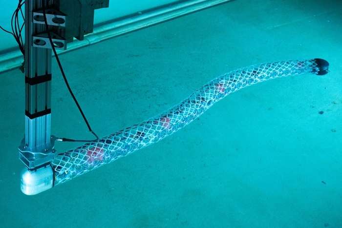 MIT推出機器人的「鱸鰻」，軟性和剛性元件並用、2天就能組裝出一條