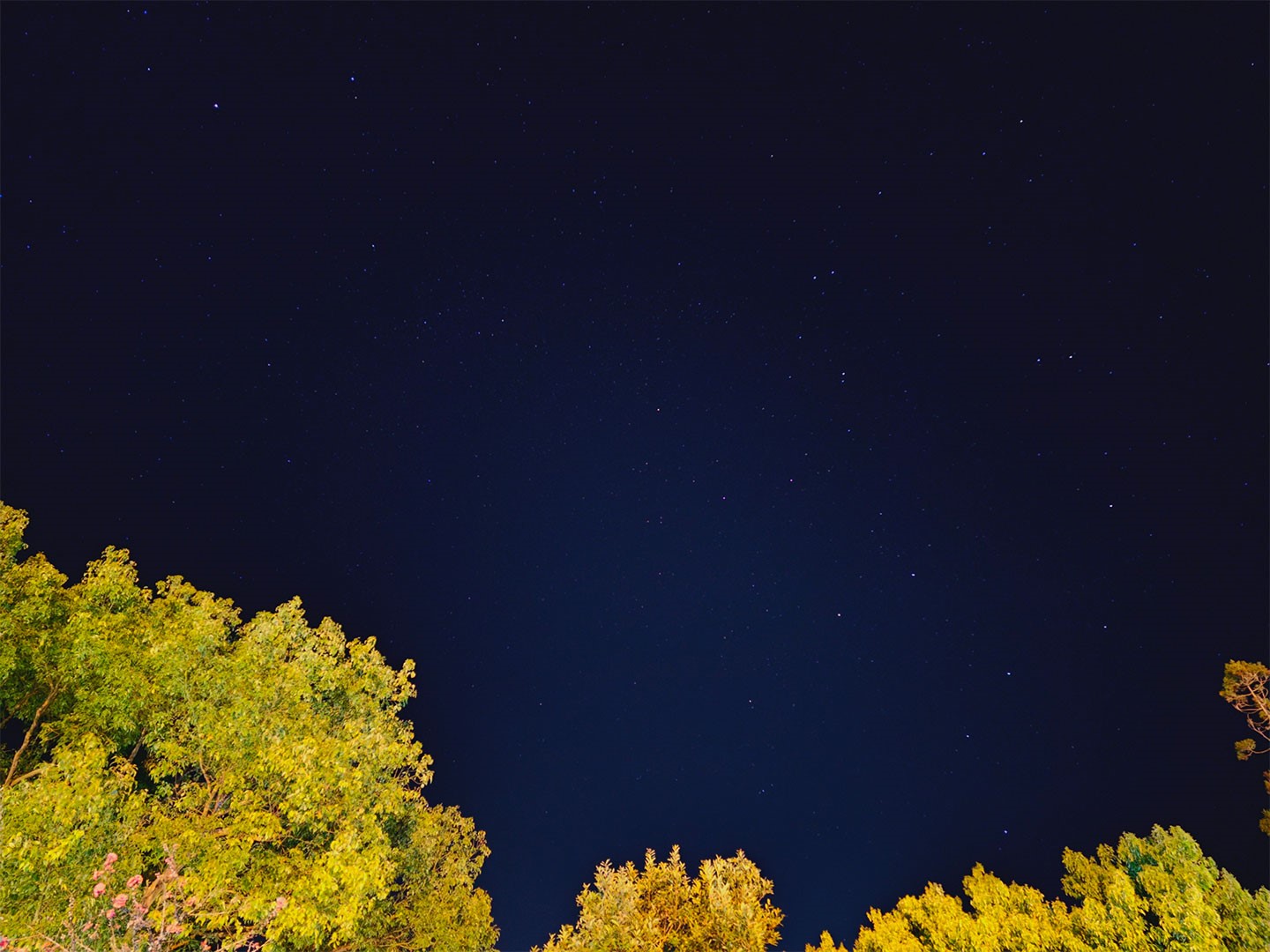 配腳架穩定手機，使用天文攝影模式曝光 4 分鐘即可拍攝出清晰的星空照。