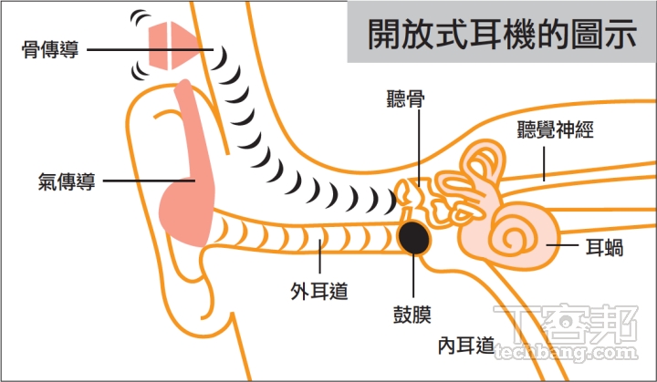 聲音傳導方式大致可分為空氣傳導和骨傳導兩種，其中，氣傳導是以空氣作為介質，透過聲波振動將聲音傳遞到耳朵；骨傳導主要是將驅動單體貼在頭部顱骨周圍，透過共振直接將聲音傳到耳蝸和聽覺神經，藉此接收聲音。