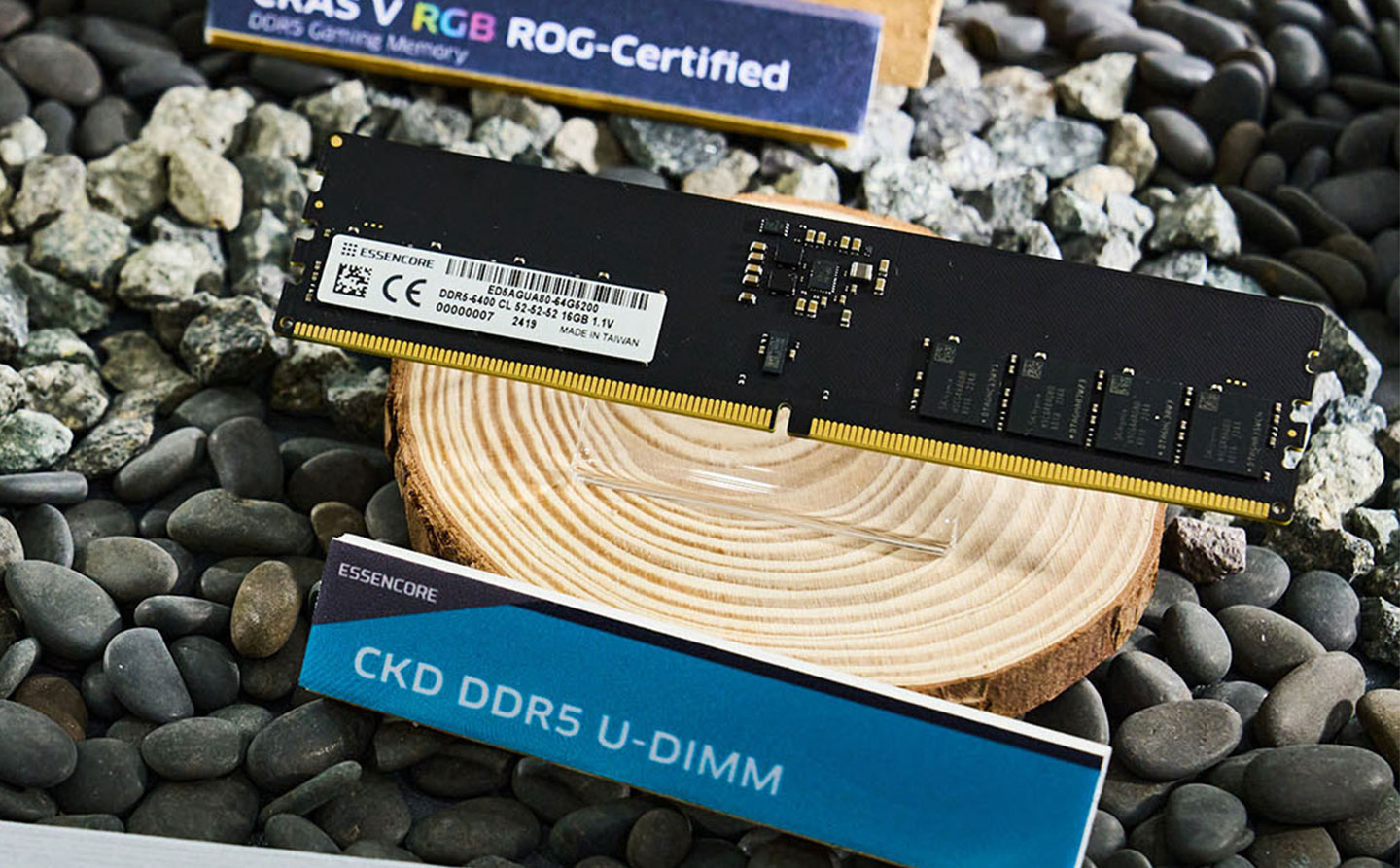 CKD DDR5 U-DIMM 記憶體模組透過 CKD 元件提升高頻時脈運行的穩定性。
