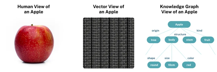 人類視角、向量視角和圖譜視角下的 Apple