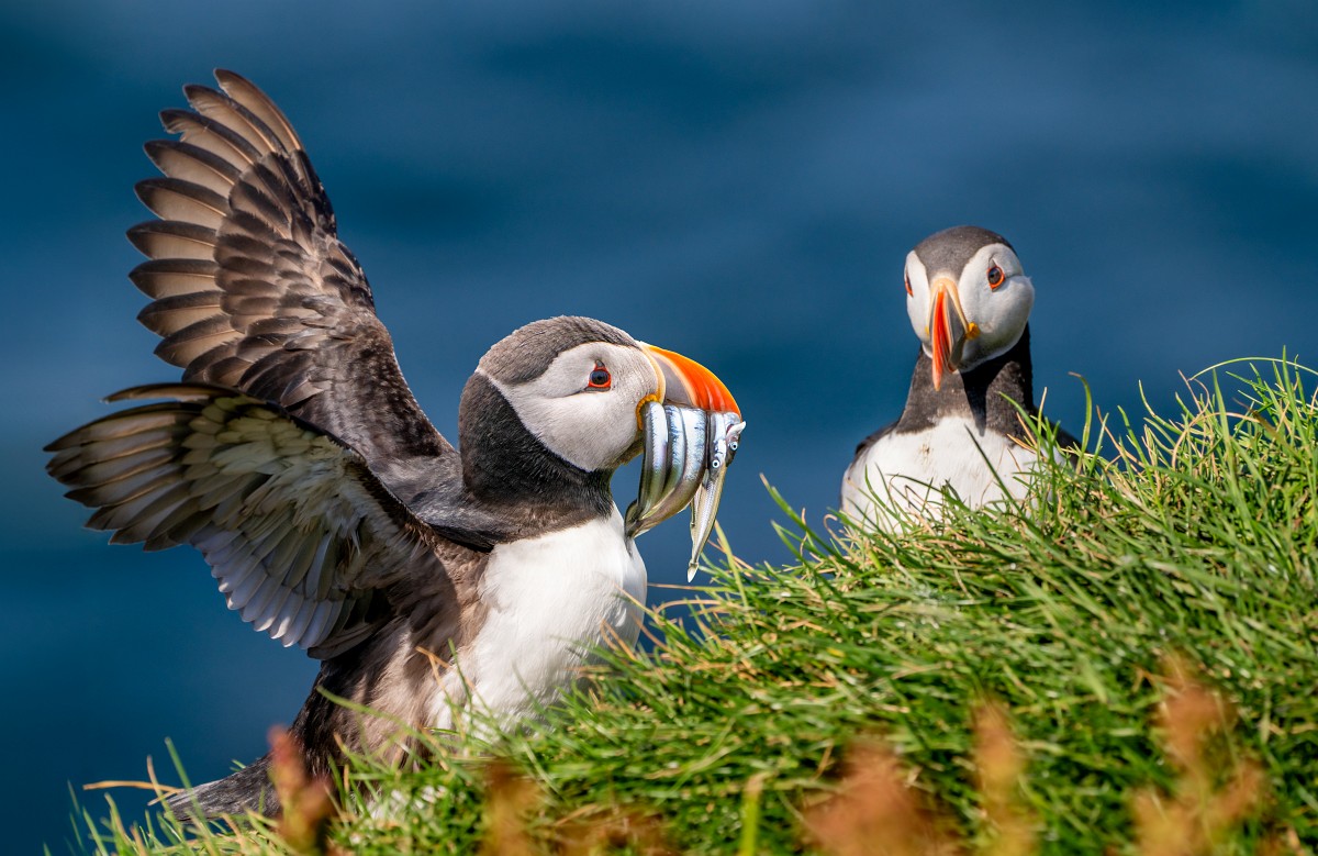 Discover the beauty of the Faroe Islands from Wang Baoguo’s viewpoint as a landscape photographer, featuring the Sony α7R V