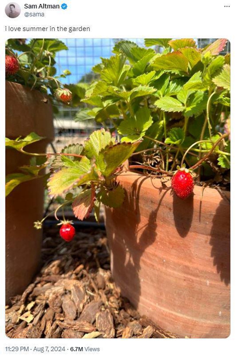 OpenAI預計兩週內推出Strawberry模型，訂閱費用可能提高到每月約台幣6500元