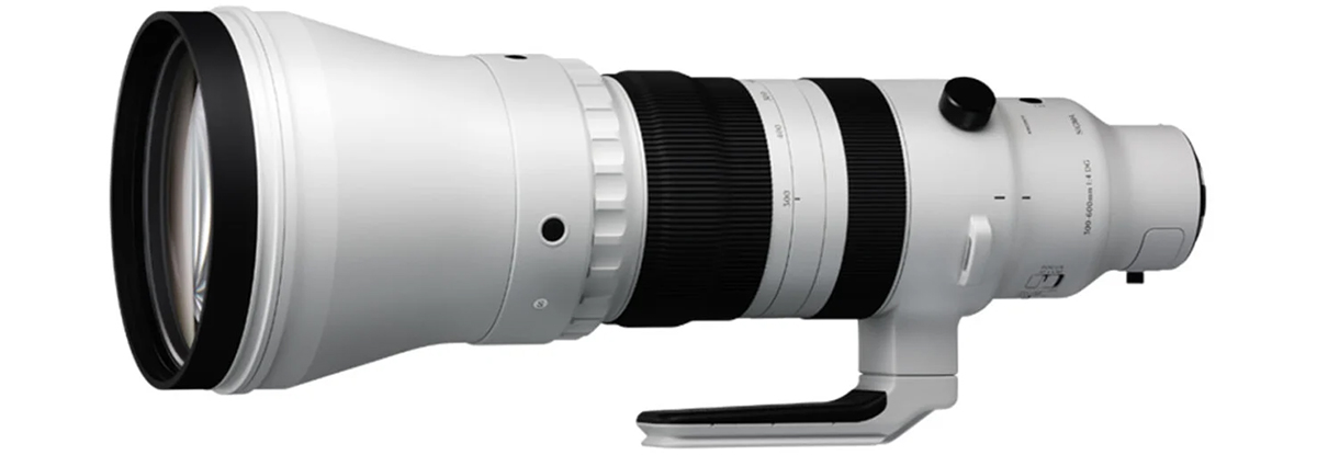 SIGMA 發表 300-600mm F4 DG OS 超望遠變焦鏡頭，主打運動、鳥類和野生動物攝影