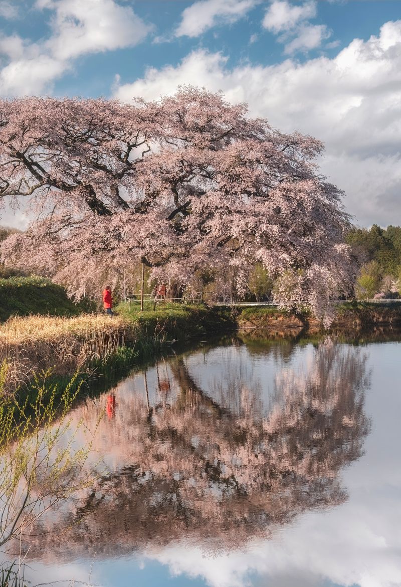 Sony α1 II + SEL2870GM，49mm、F9、1/40s、ISO 100（看大圖）