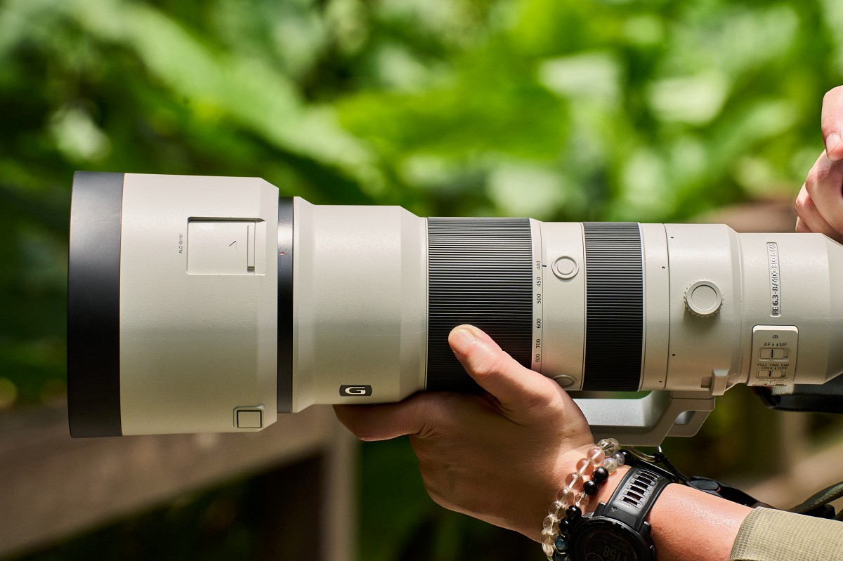 從低光到長焦全滿足，Sony SEL300F28GM + SEL400800G 打造全能飛羽攝影組合！