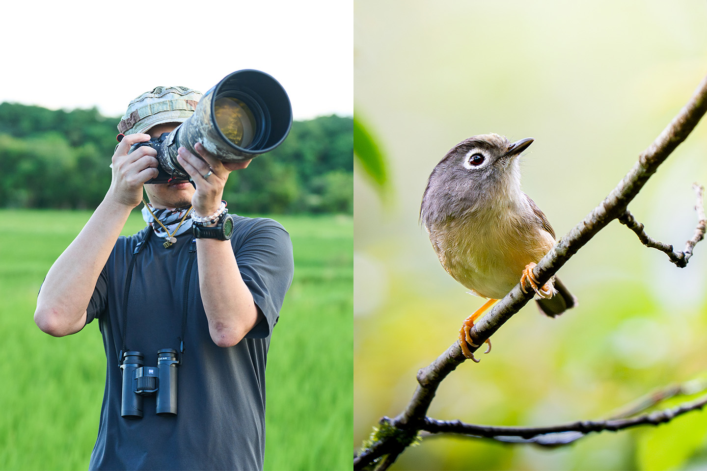 在父親的薰陶下，蘇亮宇自小便對飛羽與野生動物懷抱濃厚興趣。如今雖工作繁忙，但假日只要天候允許，還是會盡量安排時間走進山林尋覓牠們的身影。（右圖：繡眼畫眉）