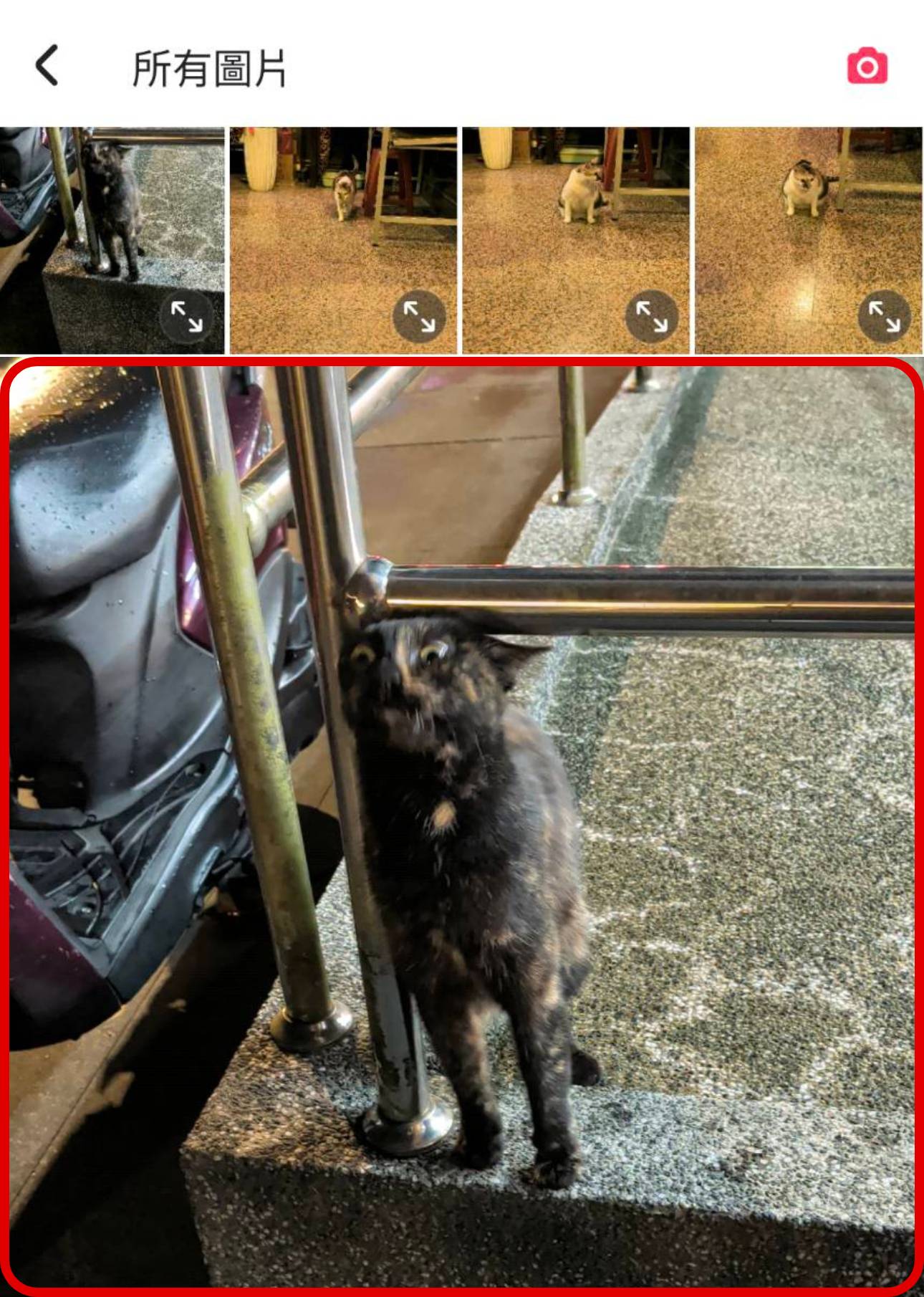 如何用美圖秀秀 + Gemini Veo 打造冬日夢幻短片