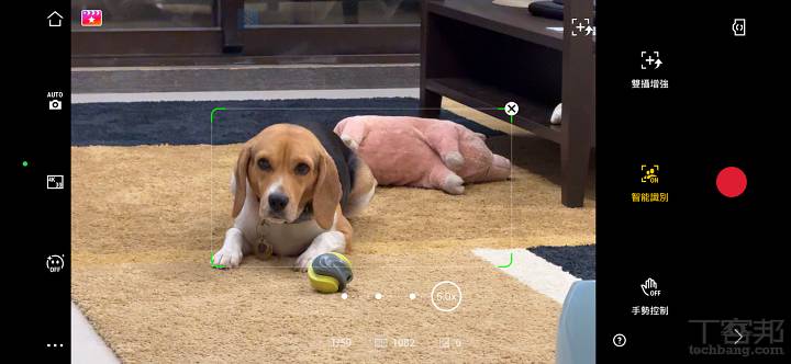 新增寵物追蹤：多功能追蹤模組不僅能智慧追蹤人物，還能精準檢測並跟拍貓與狗  ▲ 新增寵物追蹤：多功能追蹤模組不僅能智慧追蹤人物，還能精準檢測並跟拍貓與狗  ▲ 新增寵物追蹤：多功能追蹤模組不僅能智慧追蹤人物，還能精準檢測並跟拍貓與狗