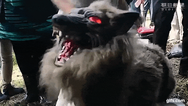 日本「機器狼」紅到國外！雙眼冒紅光、大吼 90 分貝，變身超獵奇「驅熊神器」