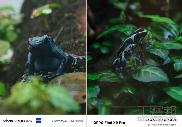 蔡司美學 vs. 哈蘇色彩！vivo X300 Pro、OPPO Find X9 Pro 旗艦影像實測大公開