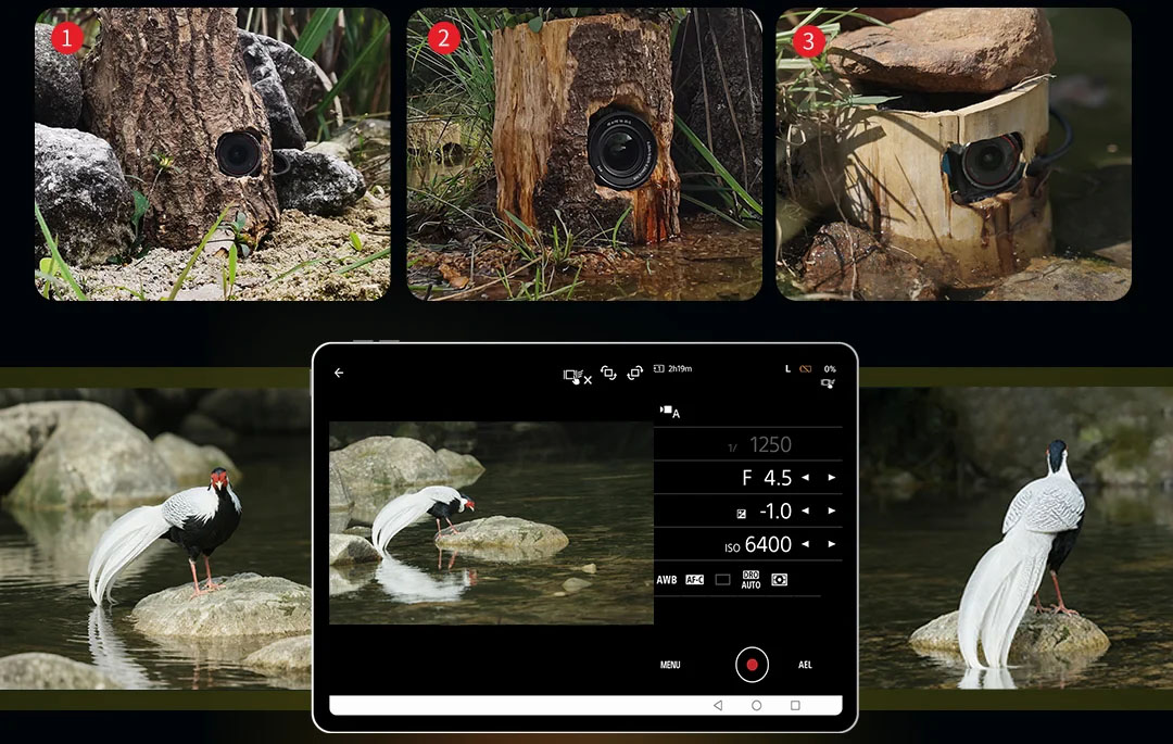 遠距拍攝不再受限：SmallRig 推出 Remote Wildlife Pro 讓生態攝影邁入無線新紀元