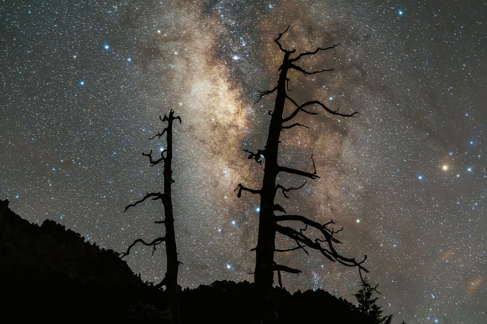 Sony α7R V + SEL2470GM2、45mm,F2.8、25s、ISO 3200(看大圖)