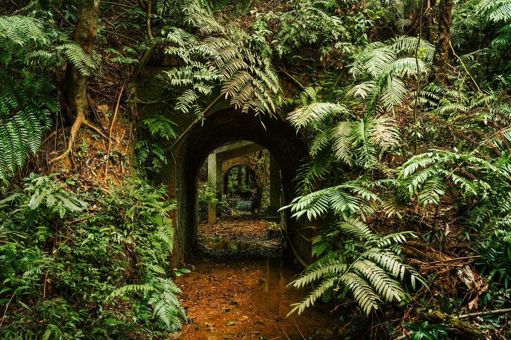 Sony α7R V + SEL2470GM2、35mm,F6.3、1/400s、ISO 3200(看大圖)