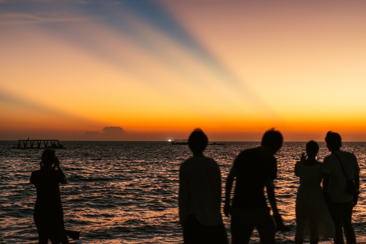 Sony α7R V + SEL2470GM2、66mm,F2.8、1/100s、ISO 640(看大圖)