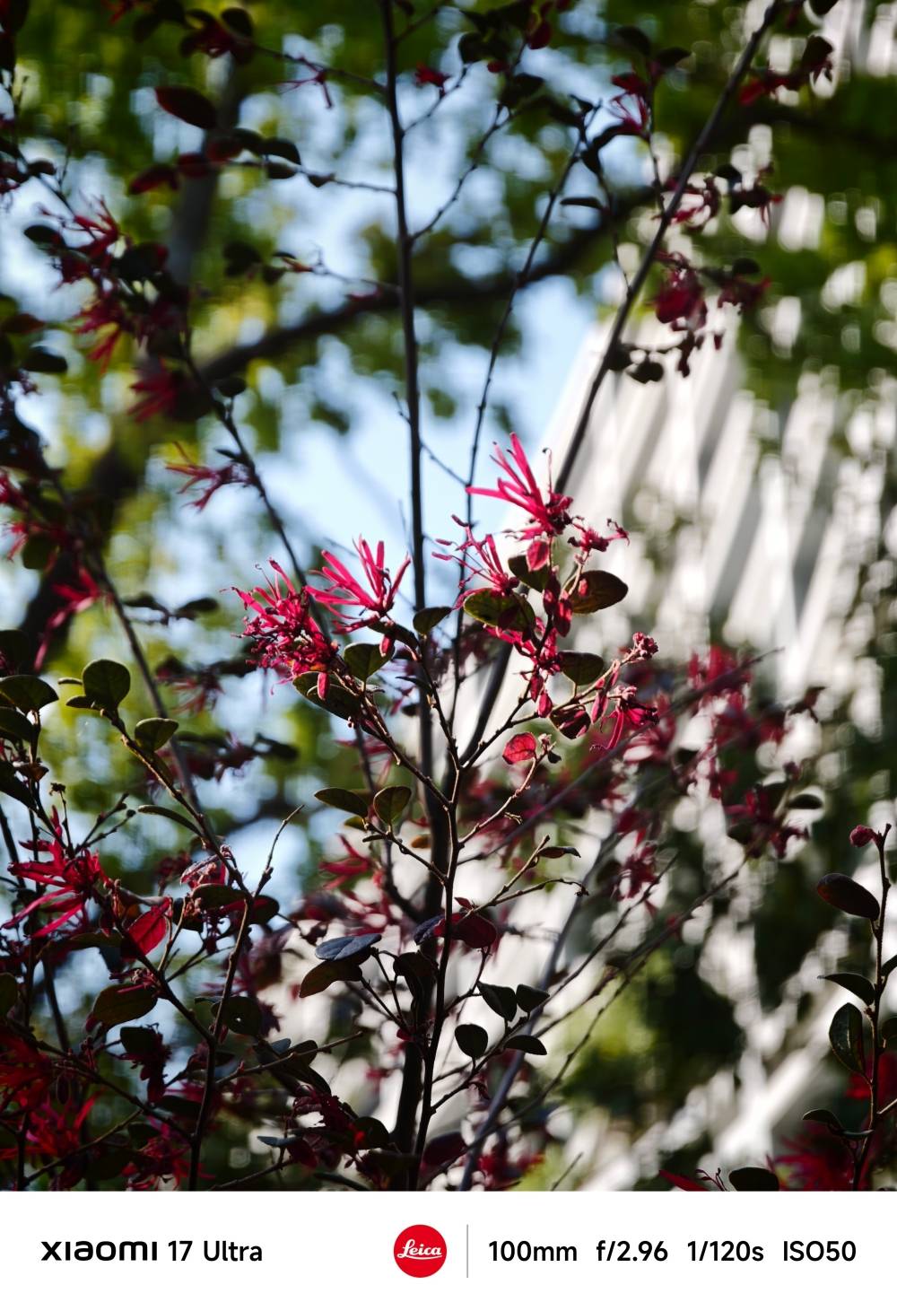 小米 17 Ultra 評測：長焦鏡頭再升級、效能、手感、攝影都到位的旗艦