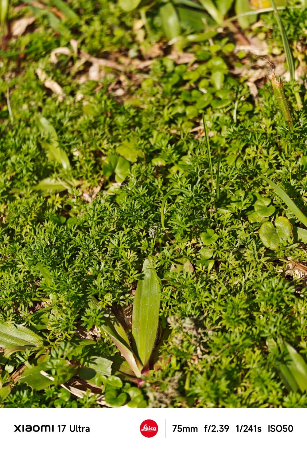 小米 17 Ultra 評測：長焦鏡頭再升級、效能、手感、攝影都到位的旗艦